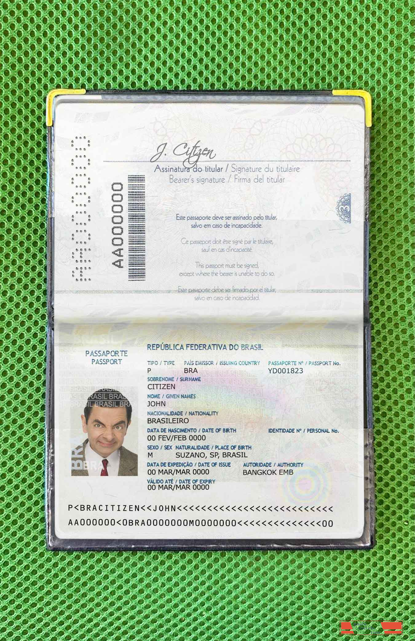 Brazil passport (2016 2019) photo look PSD template